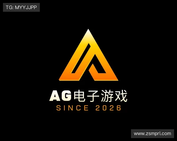 介绍AG电子游戏